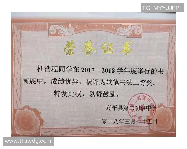 广州排球队的成长之路：城市联赛中的拼搏与荣耀